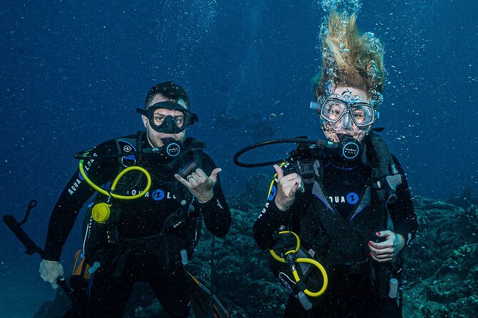 Discover Scuba Diving Class from Lahaina - What You’ll See Around Lahaina: Turtles Are the Main Event