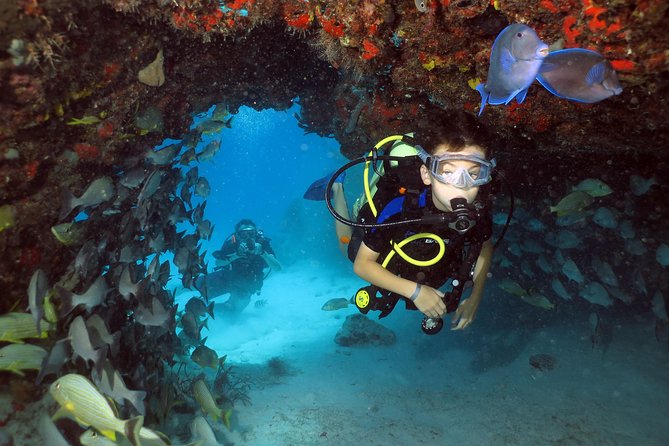 Discover Scuba Diving Course in Playa del Carmen with Two Coral Reef Dives - Your morning starts with safety basics and gear you’ll actually use