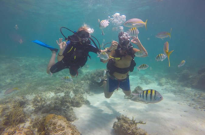 Discover Scuba Diving - DSD - Price and value: is $99 fair for the full package?