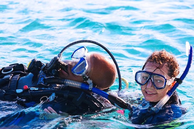 Discover Scuba Diving Experience - Key highlights you’ll feel on the spot