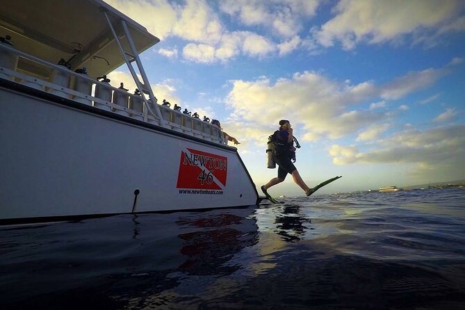 DISCOVER Scuba Diving Experience in Honolulu - Your 1-on-1 Skills Session with a PADI Professional