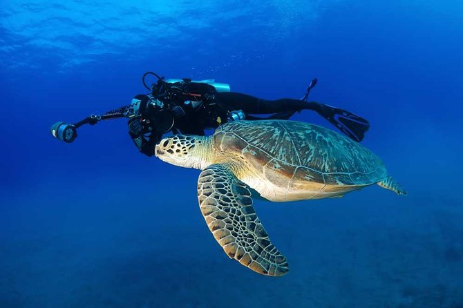 DISCOVER Scuba Diving Experience in Honolulu - Boat Comfort and Onboard Touches That Keep It Easy