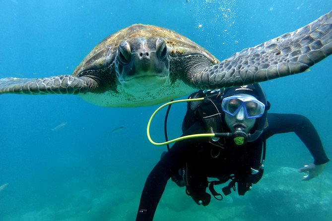 Discover Scuba Diving Experience in Turtle Habitat - Getting to the PADI base at Puerto Colón