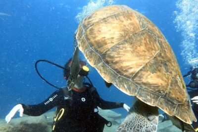 Discover Scuba Diving Experience in Turtle Habitat - Walking to the speed boat and the Puerto Colón ride