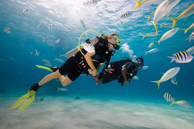 Discover Scuba Diving Experience - The 3-hour schedule, broken into real stages