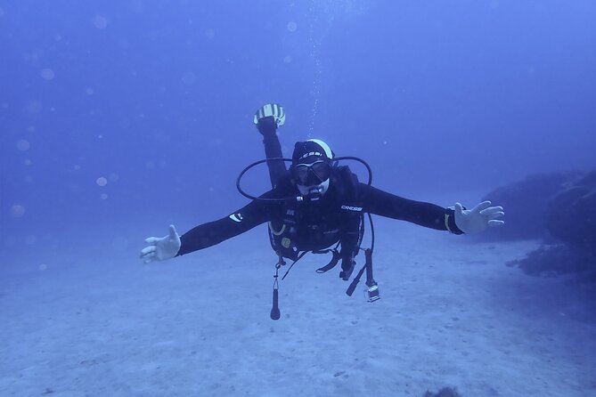 Discover Scuba Diving . First Experience underwater - Key highlights you’ll feel immediately