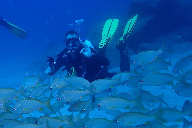 Discover Scuba Diving . First Experience underwater - Underwater time with a PADI instructor: safety you can actually rely on