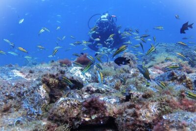 Discover Scuba Diving . First Experience underwater - From meeting point to safety briefing: what to expect before you go under