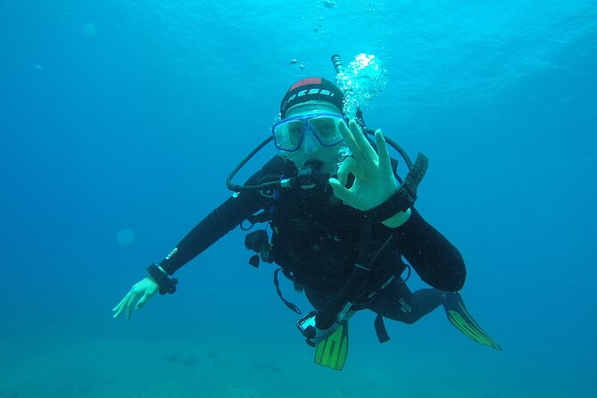 Discover Scuba Diving . First Experience underwater - Price and logistics: is $113.84 good value in Tenerife?