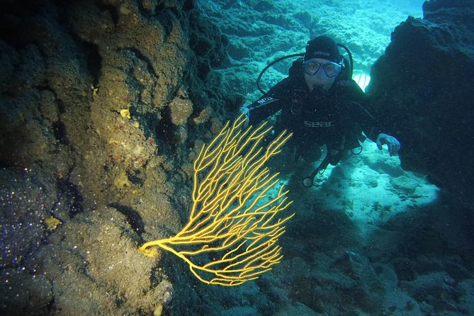DISCOVER SCUBA DIVING - First step to your certification - Key takeaways before you book