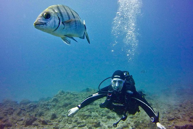 DISCOVER SCUBA DIVING - First step to your certification - The 3-hour flow: from briefing to your first underwater skills