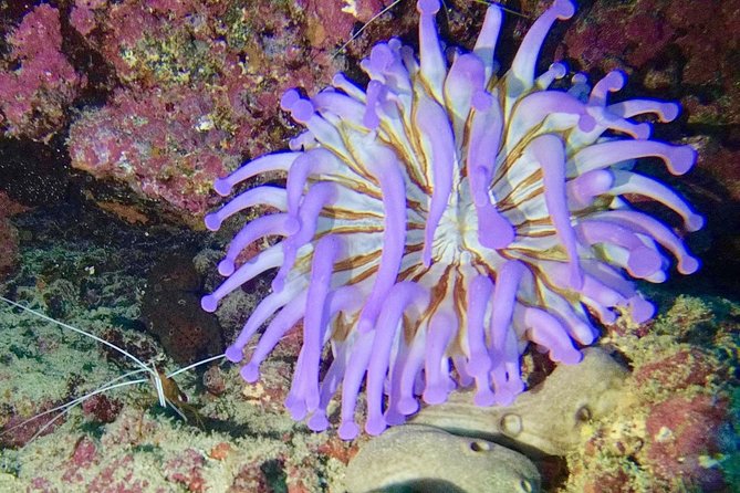 DISCOVER SCUBA DIVING - First step to your certification - Boat trip time: a simple part that makes the day feel like a real outing