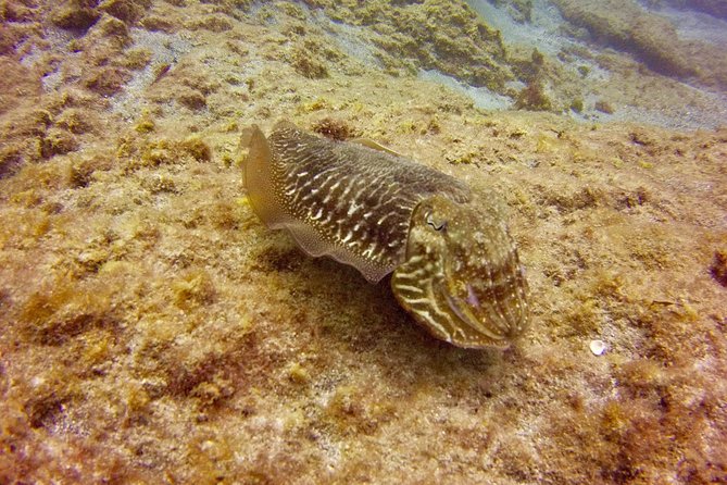 DISCOVER SCUBA DIVING - First step to your certification - Your instructor matters: how this team teaches beginners
