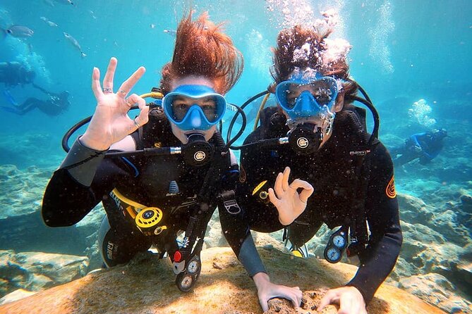 Discover Scuba Diving for Beginners - Key Things That Make This Beginner Scuba Session Work
