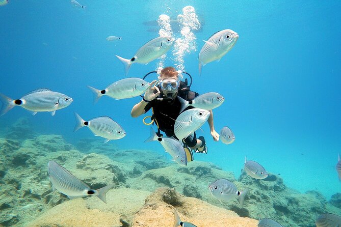Discover Scuba Diving for Beginners - Protaras Beginner Setup: What You’re Really Booking