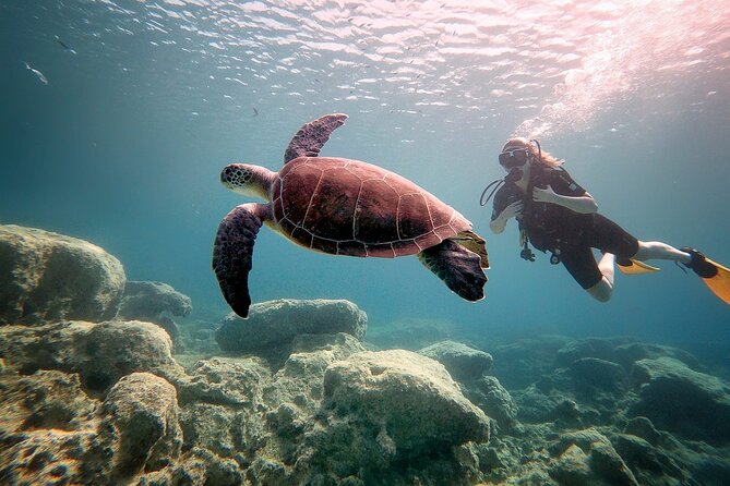 Discover Scuba Diving for Beginners - Shallow-Water Practice: Where Skills Click for First-Timers