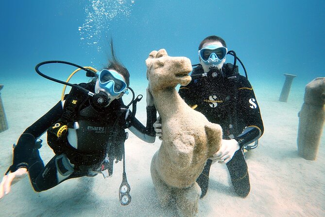 Discover Scuba Diving for Beginners - Price and Value: Is $101.27 a Good Deal?