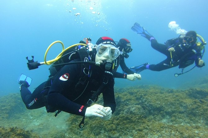 Discover Scuba Diving, free pictures included - The lesson plan: theory, equipment use, breathing, and underwater signals