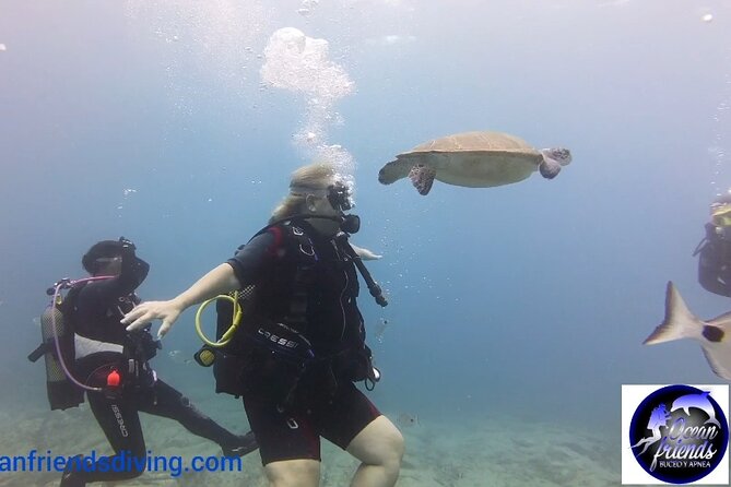 Discover Scuba Diving, free pictures included - Free photos and included gear: is $95.03 good value?