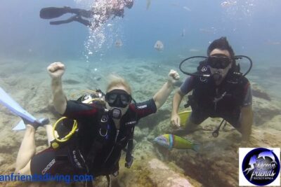 Discover Scuba Diving, free pictures included - Shallow practice first, then up to 12 meters: pace, safety, and what you’ll see