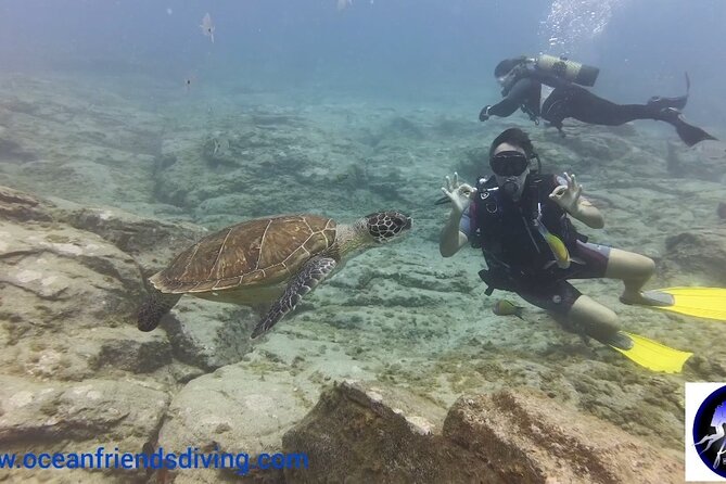 Discover Scuba Diving, free pictures included - Who should book this beginner scuba session (and who should reconsider)