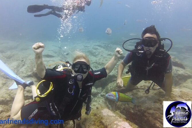 Discover Scuba Diving, free pictures included - Shallow practice first, then up to 12 meters: pace, safety, and what you’ll see