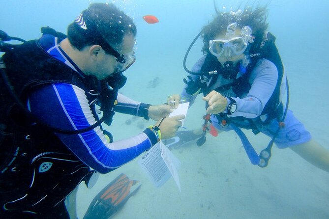 Discover Scuba Diving from a Fishing Village - Logistics That Actually Help: Meeting Point and Returning Back