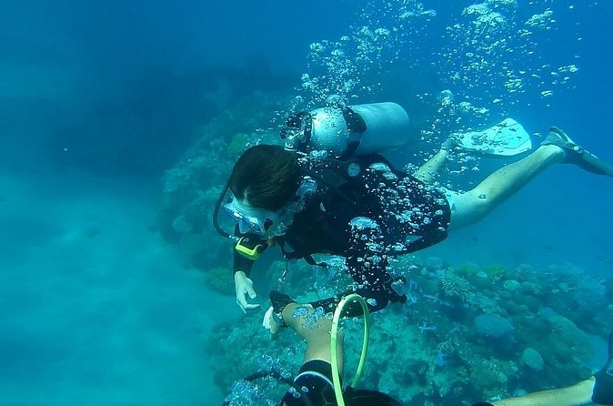 Discover Scuba Diving From Ocho Rios - Your second reef spot and the two-tank plan for certified participants