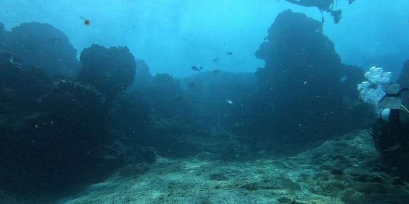 Discover Scuba Diving : Hikkaduwa : Scuba Diving - Where You Start at Coral Sands Hotel (and why that matters)