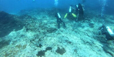Discover Scuba Diving : Hikkaduwa : Scuba Diving - Confined Water Skills: Your Confidence Builder in Calm Conditions