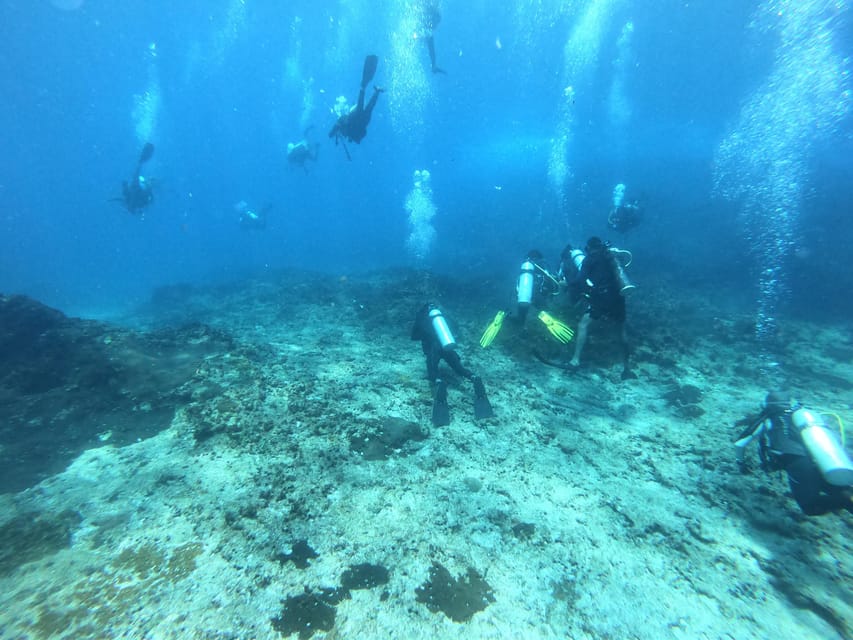Discover Scuba Diving : Hikkaduwa : Scuba Diving - Rules Underwater: Simple Boundaries That Protect the Reef