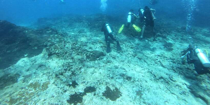Discover Scuba Diving : Hikkaduwa : Scuba Diving - Confined Water Skills: Your Confidence Builder in Calm Conditions
