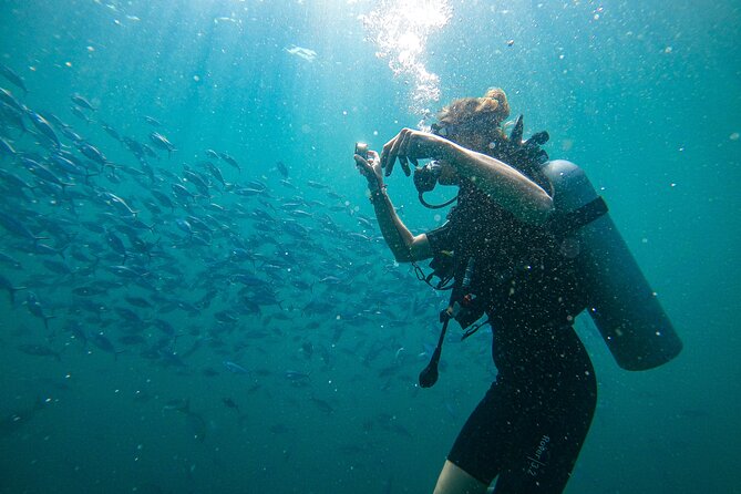 Discover SCUBA Diving in Beautiful Unawatuna Bay - Key Things You’ll Notice Right Away