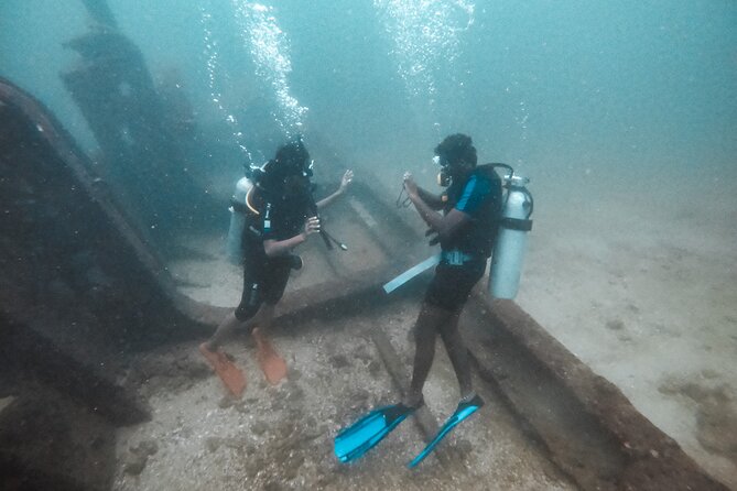 Discover SCUBA Diving in Beautiful Unawatuna Bay - Rock Island underwater area: reef life, wreck hints, and what to watch for