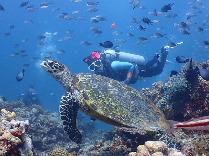 Discover Scuba Diving in Boracay - Where you meet in Boracay (and how not to waste time)