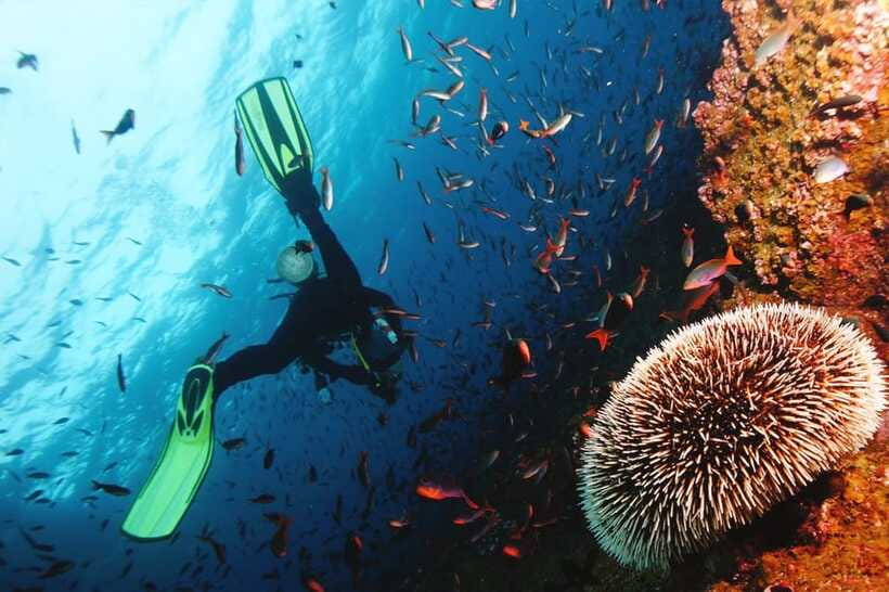 Discover Scuba Diving in Boracay - The instructor and guide support: safety, patience, and real comfort