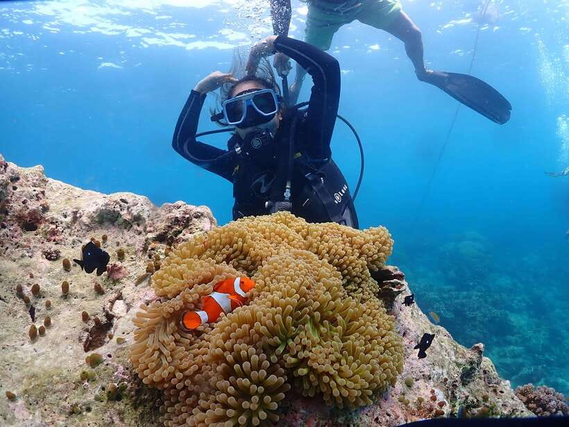 Discover Scuba Diving in Boracay - Underwater experience: clear water and marine life you can actually see