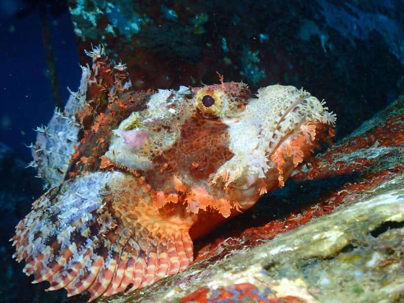 Discover Scuba Diving in Boracay - Price and value: is $49 a good deal for an intro program?