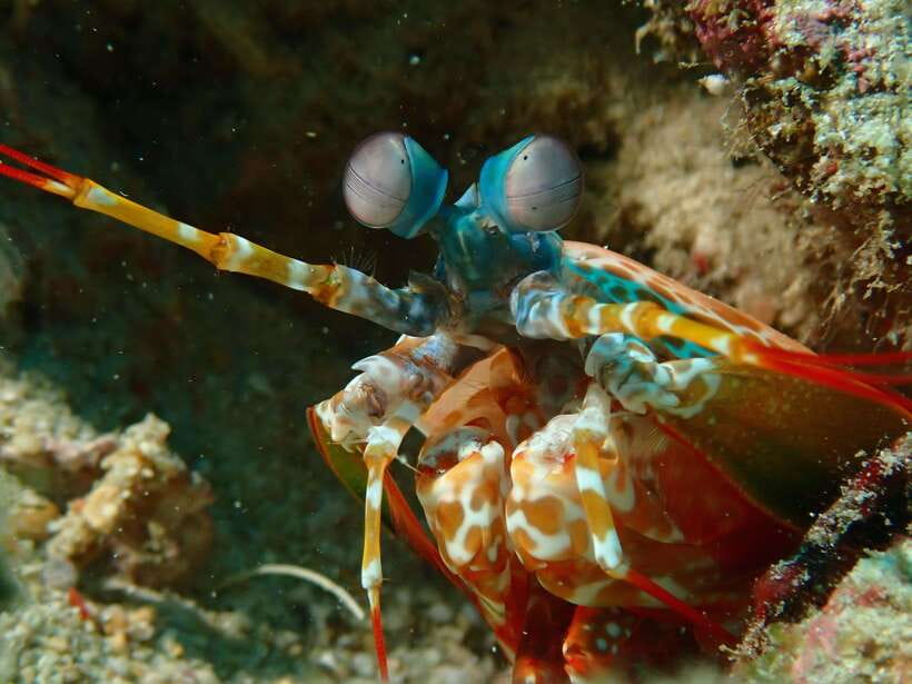 Discover Scuba Diving in Boracay - Who should book this, and who should skip it