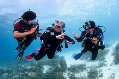 Discover Scuba Diving in Boracay with U/W Photo and Video - The PADI Discover Scuba Flow: Learn, Practice, Then Go