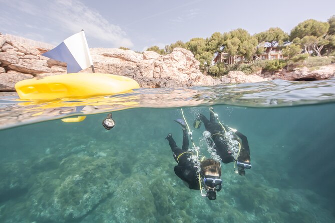 Discover Scuba diving in Calabria, Italy - Key highlights worth knowing