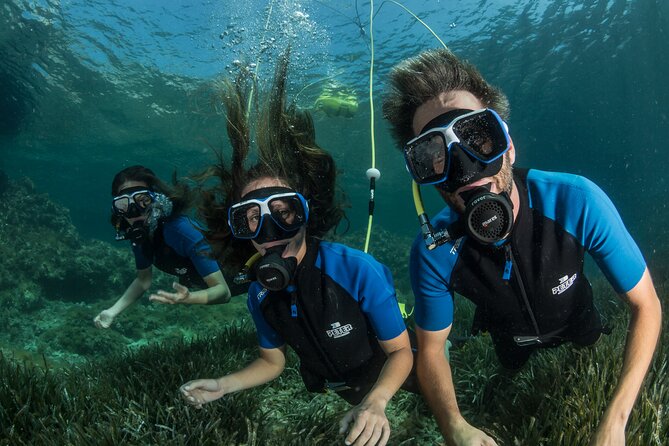 Discover Scuba diving in Calabria, Italy - Price and value: why $93.87 can make sense for beginners