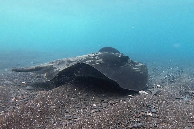Discover Scuba Diving in Costa Calma - Entering Costa Calma for a beginner SCUBA starter