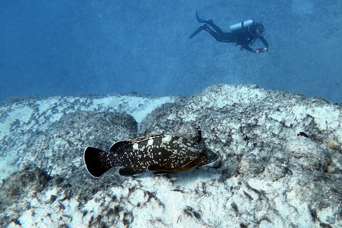 Discover Scuba Diving in Costa Calma - Small groups and calm instructors: what that feels like underwater