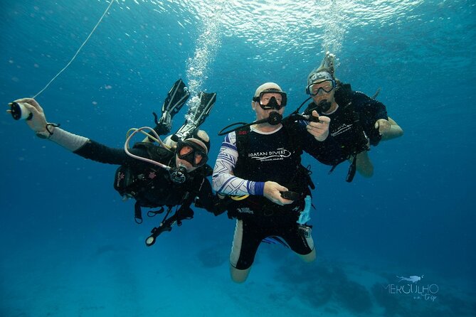Discover Scuba Diving in Cozumel - What You’ll See: Fish, Coral, and the Beginner-Friendly Setup