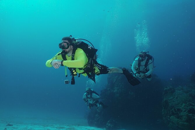 Discover Scuba Diving in Cozumel - Price and Value: Is $105 Worth It?