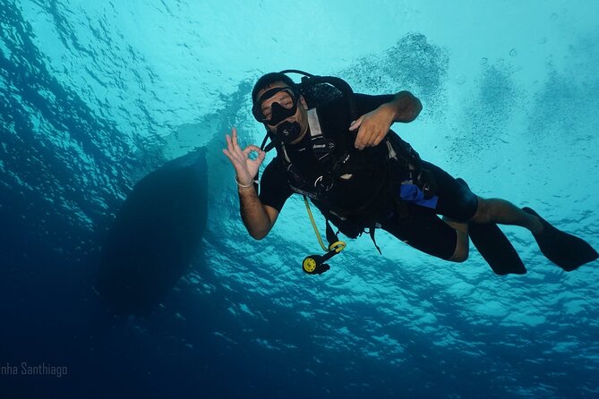 Discover Scuba Diving in Cozumel - Timing, Group Size, and Weather: How to Plan Your Day