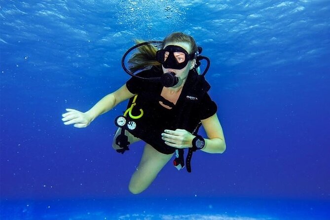 Discover Scuba Diving in Cozumel Paradise Reef - Paradise Shallows on tank one (30–45 minutes): seeing the reef without rushing