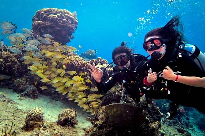 Discover Scuba Diving in Cozumel Paradise Reef - Paradise Reef on tank two (45–60 minutes): your main look at the park