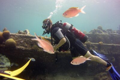 Discover Scuba Diving in Curacao - Livingstone Jan Thiel Pool Skills: Your Confidence Booster
